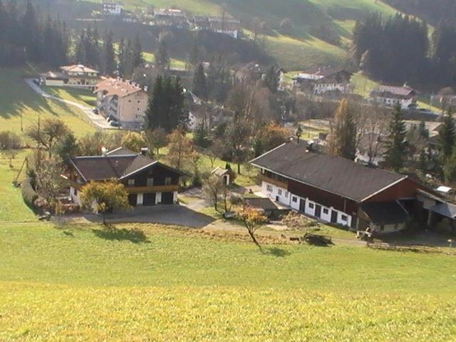Trattenbachhof Scheffau am Wilden Kaiser Exterior photo